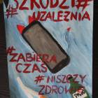 Fotka nr 2 z 15