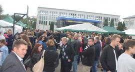 zdjęcie nr 133