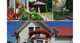 zdjęcie nr 8
