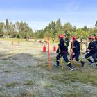 Fotka nr 2 z 18