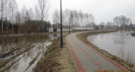 zdjęcie nr 30