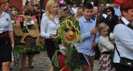 zdjęcie nr 12