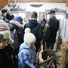 zdjęcie nr 13