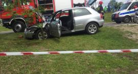 zdjęcie nr 7