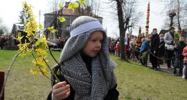 zdjęcie nr 8