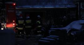 zdjęcie nr 8