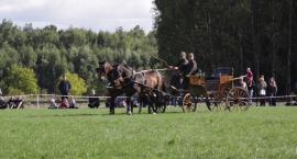 zdjęcie nr 28