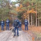 zdjęcie nr 12