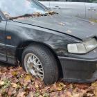 Fotka nr 4 z 10