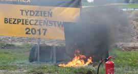 zdjęcie nr 40