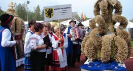 zdjęcie nr 29
