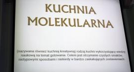 Fotka nr 3 z 10