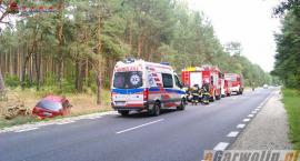 Fotka nr 2 z 5
