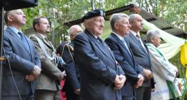 zdjęcie nr 30