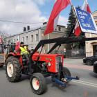 Fotka nr 3 z 196