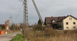 zdjęcie nr 13