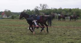 zdjęcie nr 117