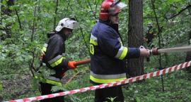 zdjęcie nr 19