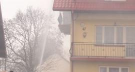 zdjęcie nr 32