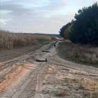 zdjęcie nr 8