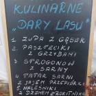 zdjęcie nr 31