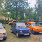 zdjęcie nr 31