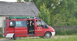 zdjęcie nr 162