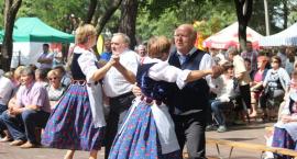 zdjęcie nr 13