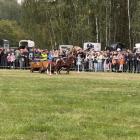 Fotka nr 1 z 163