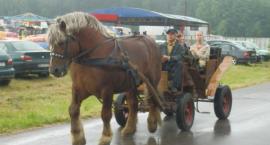 zdjęcie nr 39