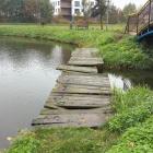 zdjęcie nr 13
