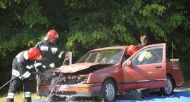 zdjęcie nr 97