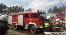 Fotka nr 2 z 36