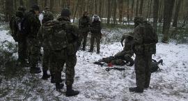 Fotka nr 2 z 22