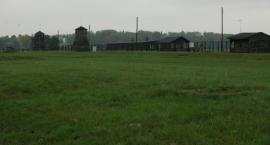 zdjęcie nr 12