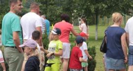 zdjęcie nr 16