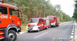 Fotka nr 1 z 5