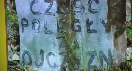 zdjęcie nr 33