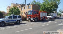 Fotka nr 2 z 3