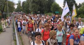 zdjęcie nr 41