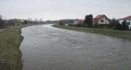 zdjęcie nr 8