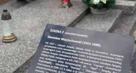 zdjęcie nr 44