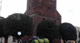 zdjęcie nr 16
