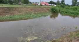 zdjęcie nr 33