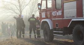 zdjęcie nr 15
