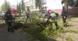 zdjęcie nr 17