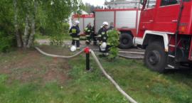 zdjęcie nr 17