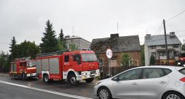 Fotka nr 3 z 18