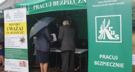 zdjęcie nr 116