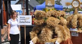 zdjęcie nr 7